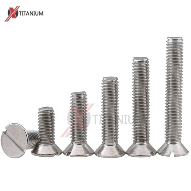DIN963 Titanium Slotted countersunk head screws